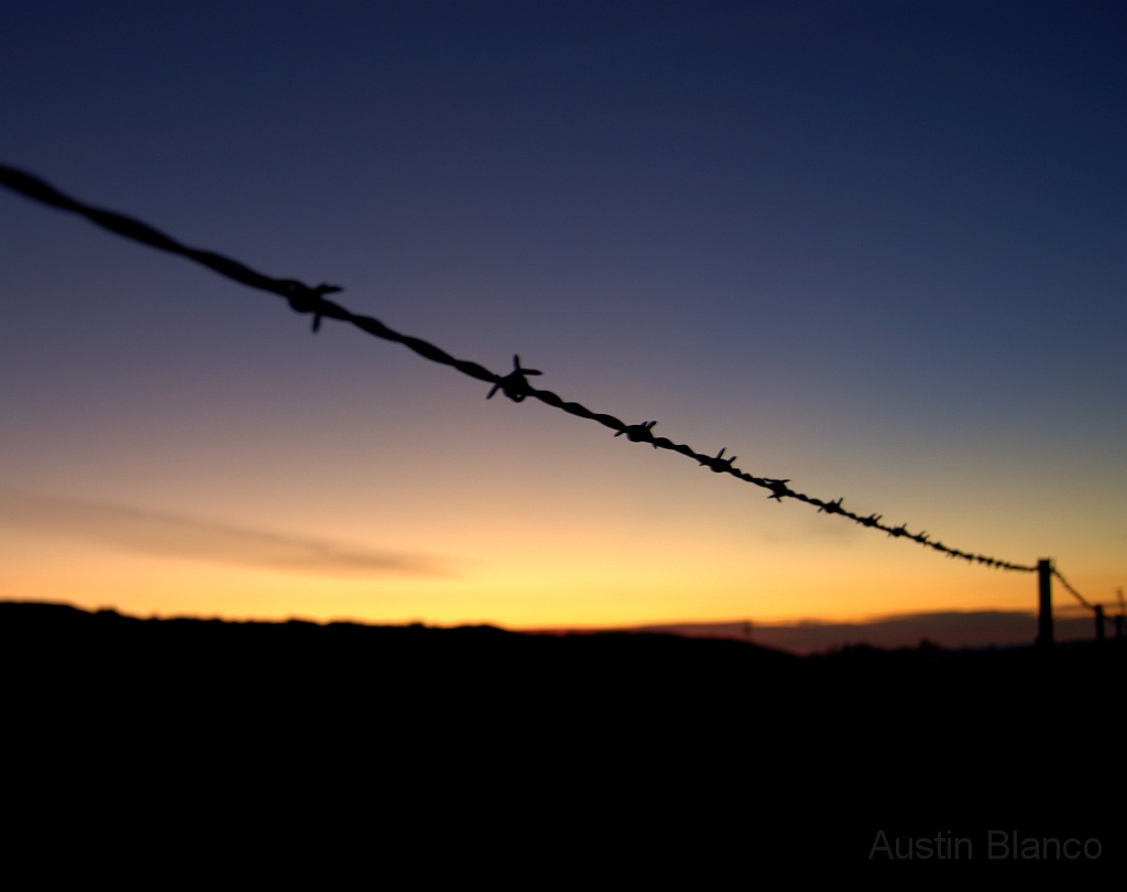 Linciln Fence Sunset 2.jpg